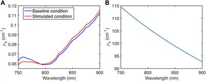 Influence of the Signal-To-Noise Ratio on Variance of Chromophore Concentration Quantification in Broadband Near-Infrared Spectroscopy